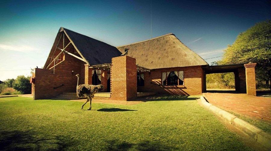 Monateng Safari Lodge Wallmannstal Bagian luar foto
